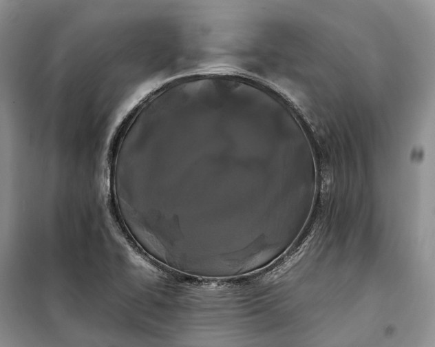 X0000100231414200806131326