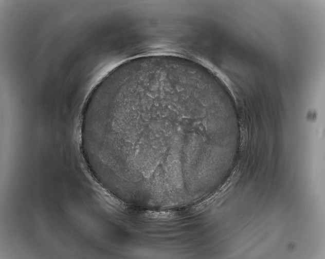 X0000100231415200806131326