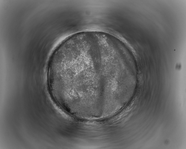 X0000100231416200806131326