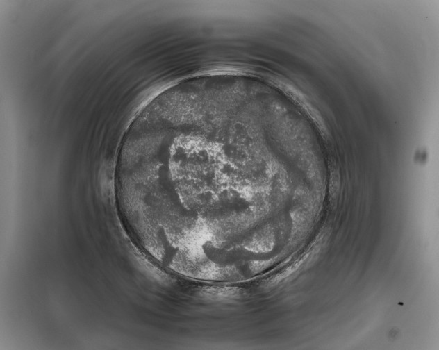 X0000100231417200806131326