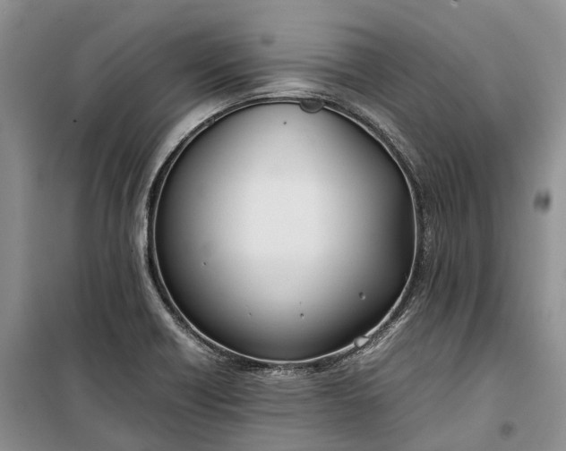 X0000100231418200806131326