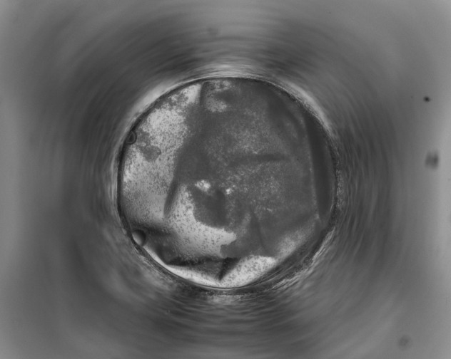 X0000100231419200806131326