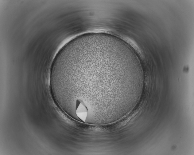 X0000100231420200806131326