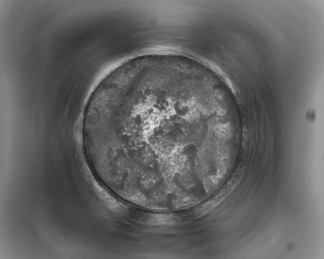 X0000100231421200806131326