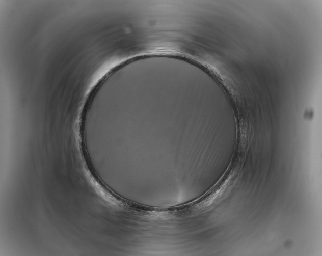 X0000100231422200806131326