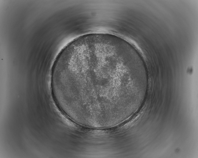 X0000100231424200806131326