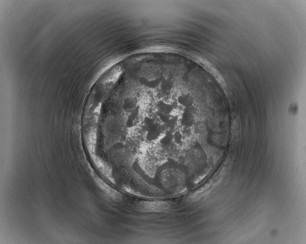 X0000100231425200806131326