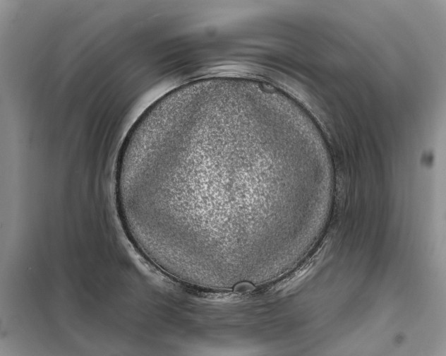 X0000100231426200806131326