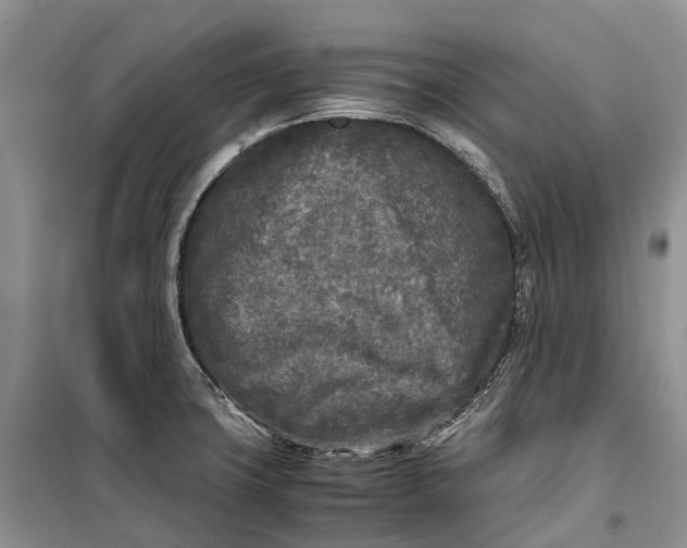 X0000100231427200806131326