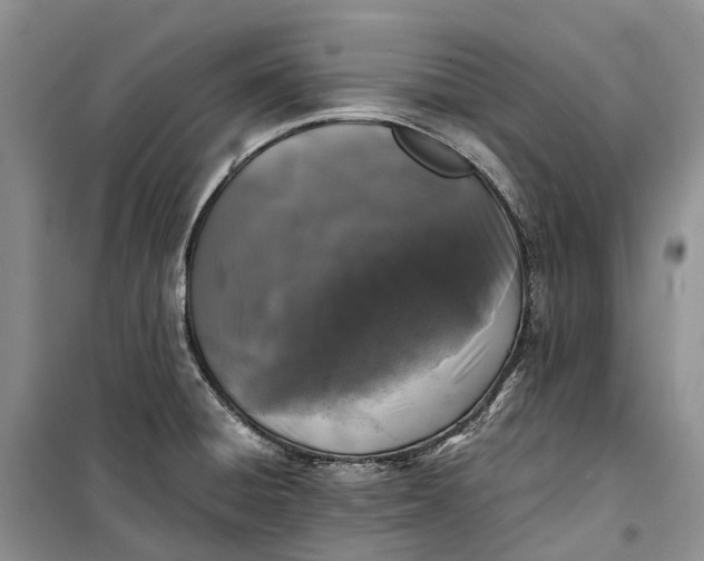 X0000100231428200806131326