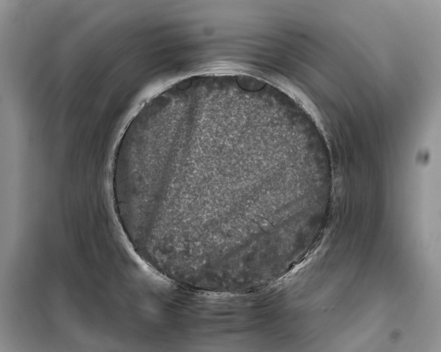 X0000100231429200806131326