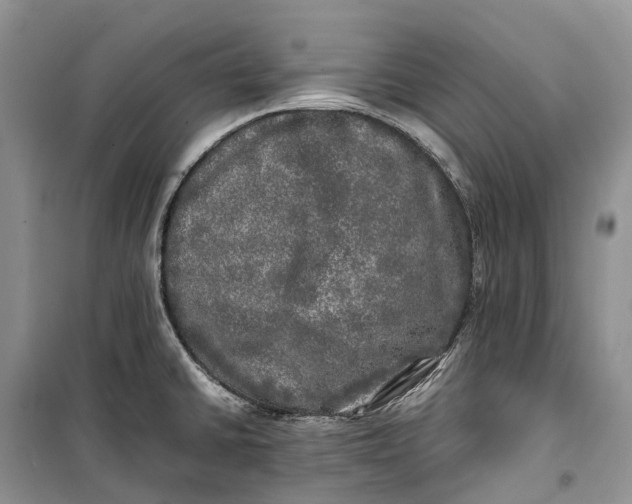 X0000100231430200806131326