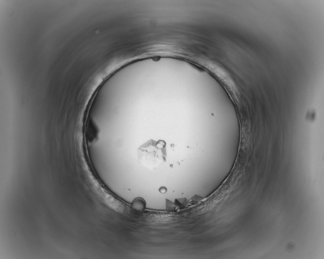 X0000100231431200806131326