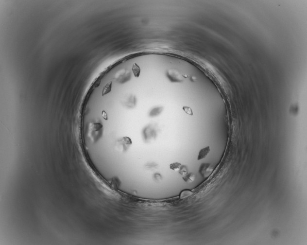 X0000100231432200806131326