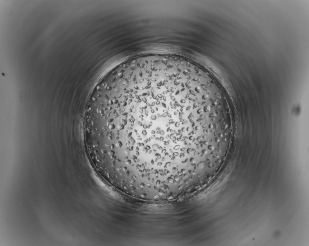 X0000100231433200806131326