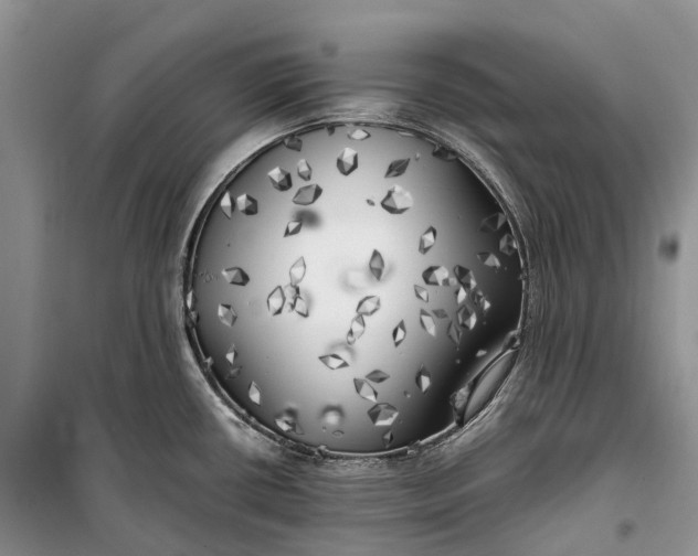 X0000100231434200806131326