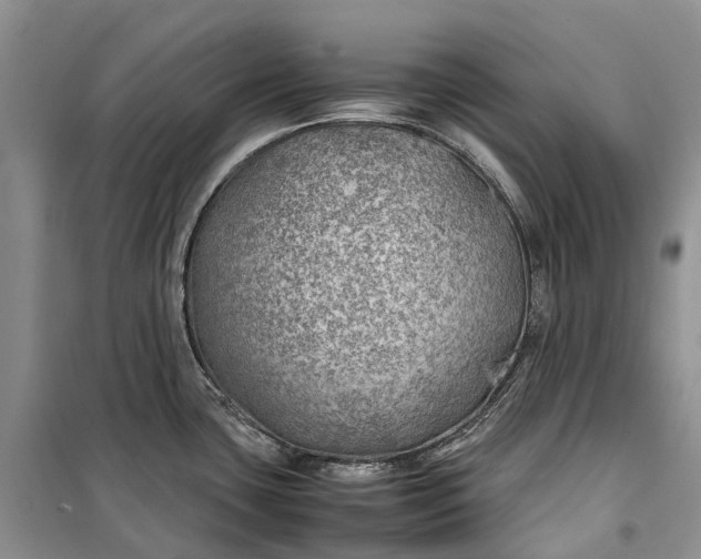 X0000100231435200806131326