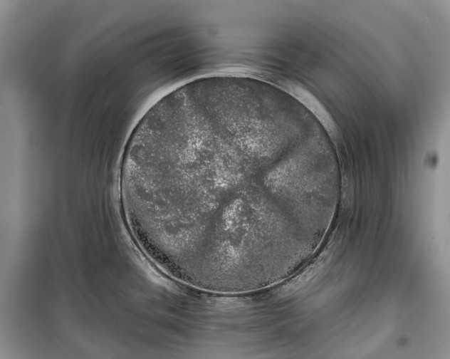 X0000100231436200806131326