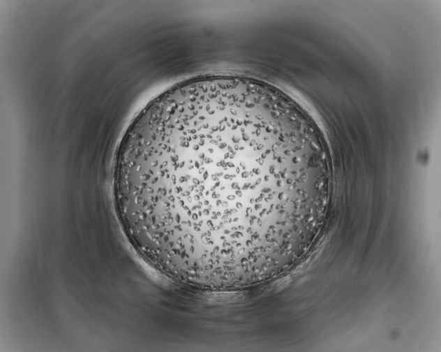 X0000100231437200806131326