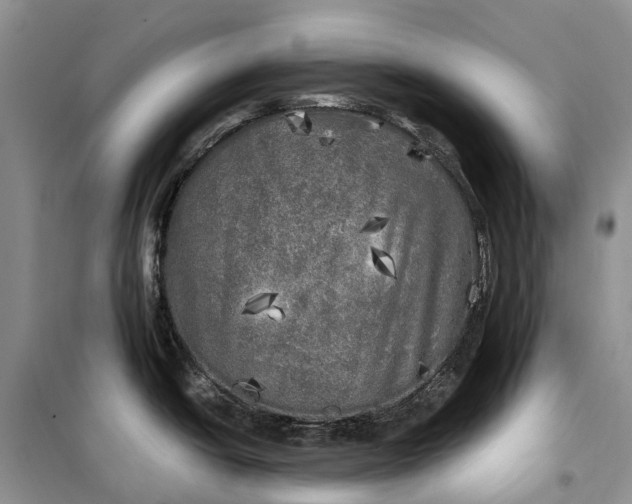 X0000100231438200806131326