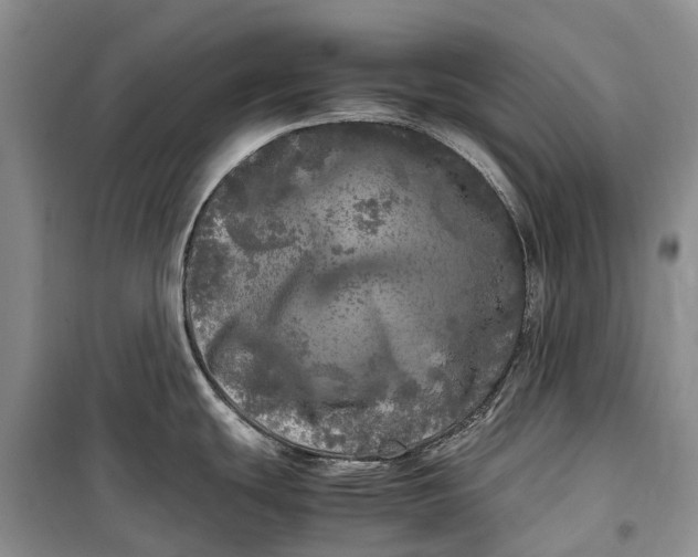 X0000100231439200806131326