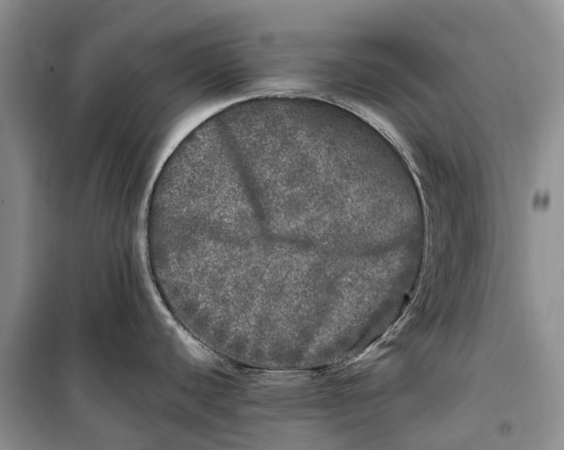 X0000100231440200806131326