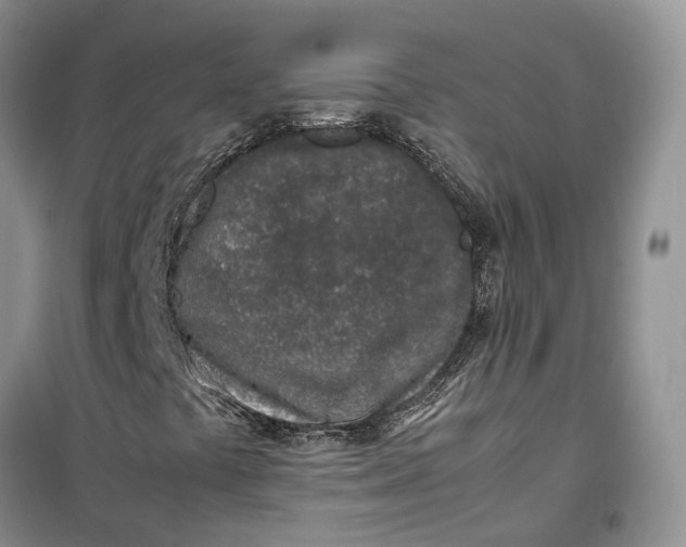 X0000100231441200806131326