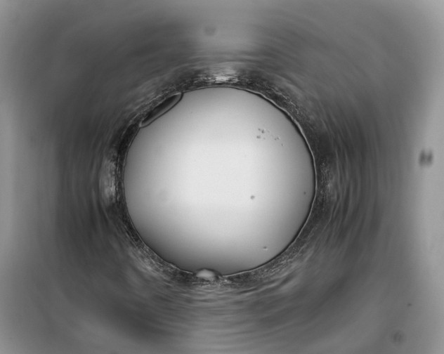 X0000100231442200806131326