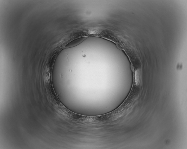 X0000100231443200806131326