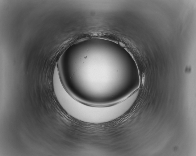 X0000100231444200806131326