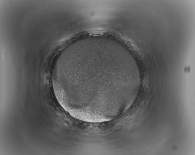 X0000100231445200806131326