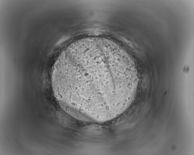 X0000100231446200806131326