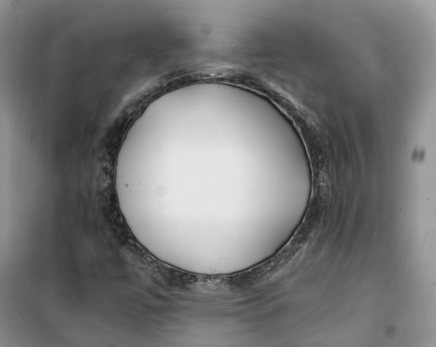 X0000100231447200806131326