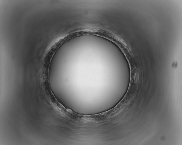 X0000100231448200806131326