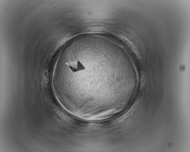 X0000100231449200806131326