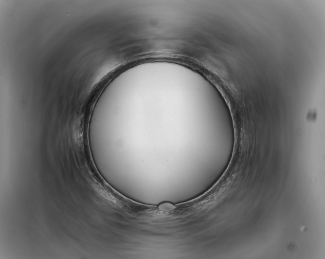 X0000100231450200806131326