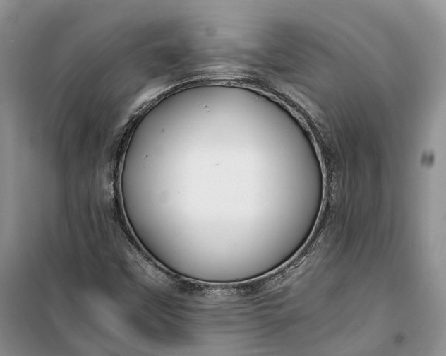 X0000100231451200806131326