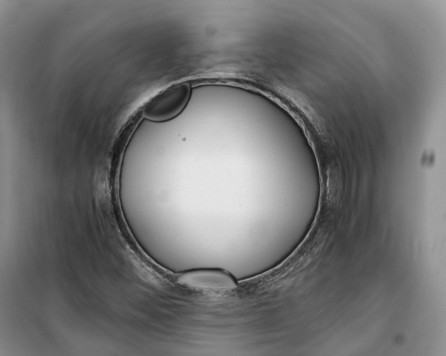 X0000100231452200806131326