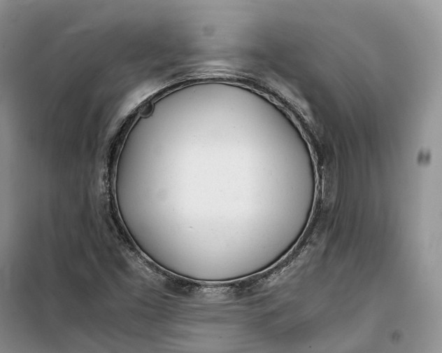 X0000100231453200806131326