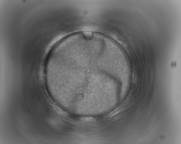 X0000100231454200806131326