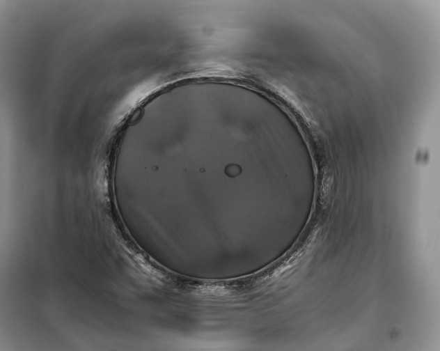 X0000100231455200806131326