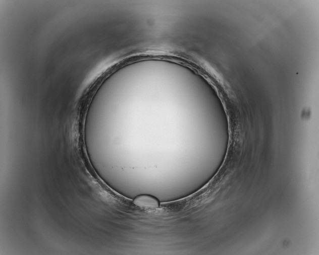 X0000100231456200806131326