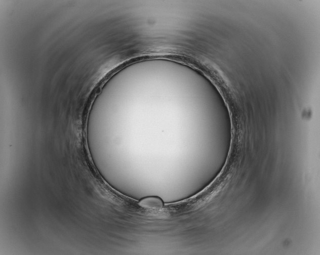 X0000100231457200806131326