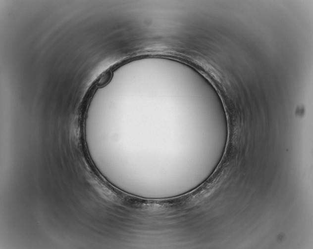 X0000100231458200806131326