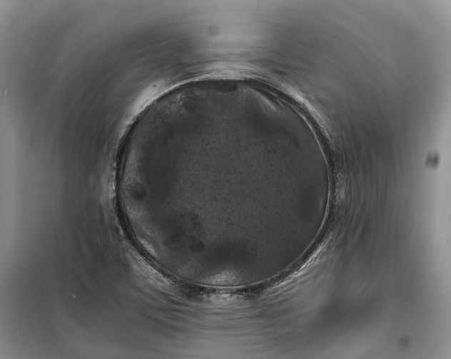 X0000100231459200806131326