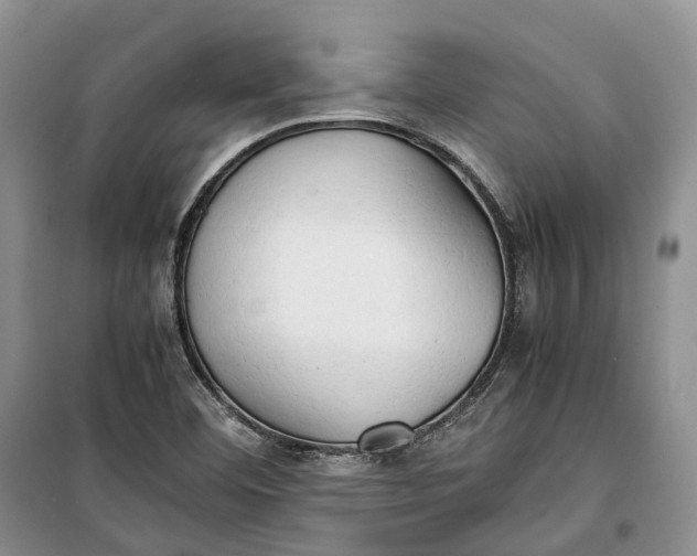 X0000100231460200806131326