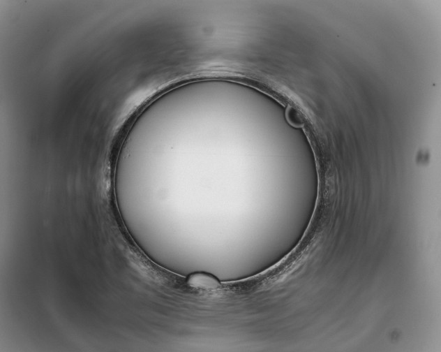 X0000100231461200806131326