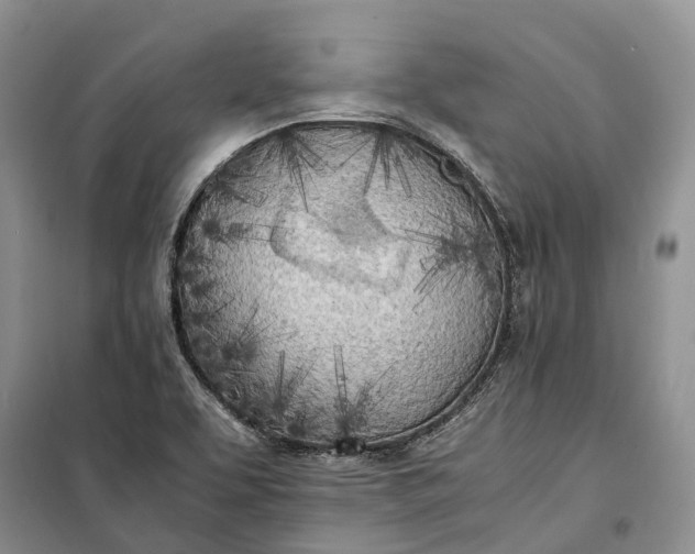 X0000100231463200806131325