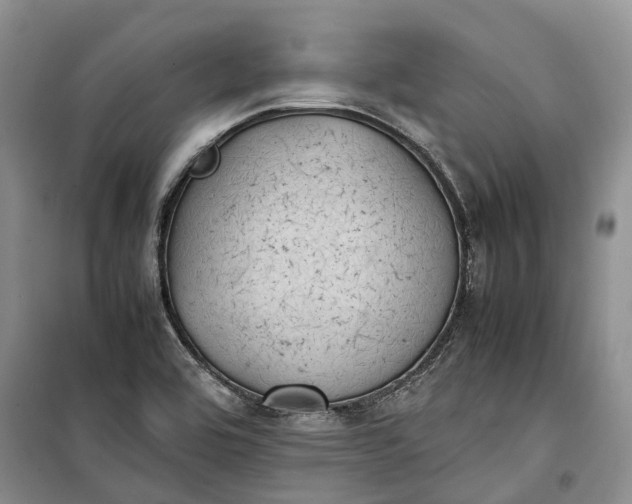 X0000100231464200806131325