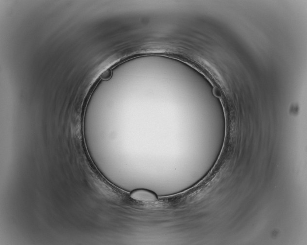 X0000100231465200806131325